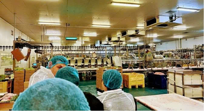ĐƠN HÀNG CHẾ BIẾN THỰC PHẨM HY LẠP