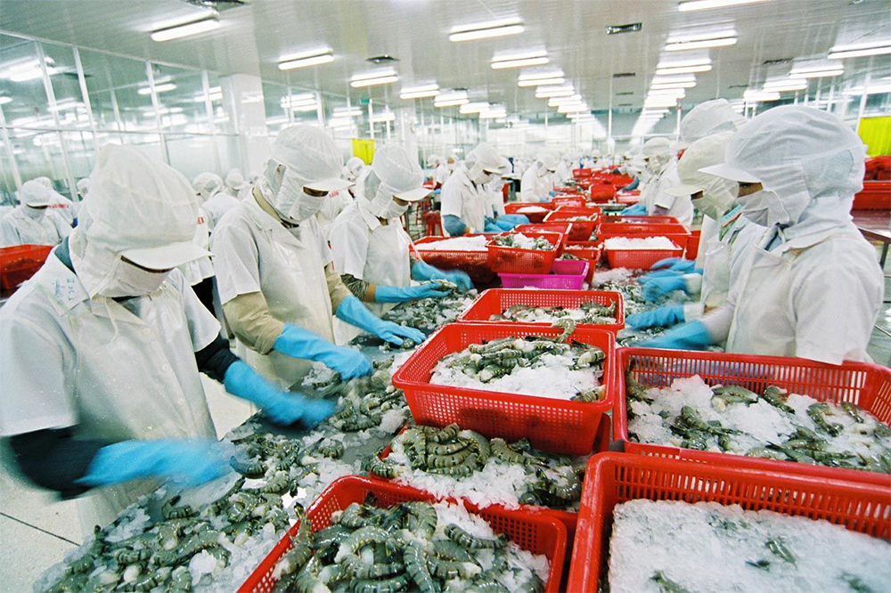 ĐƠN HÀNG CHẾ BIẾN THỰC PHẨM THỦY SẢN TẠI NHẬT BẢN
